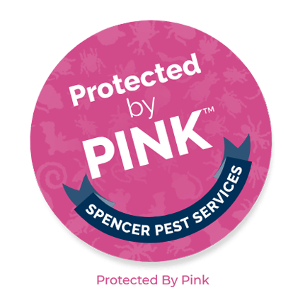 protected by pink>